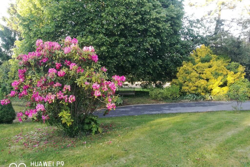 Gite De Pennenez Plomodiern エクステリア 写真